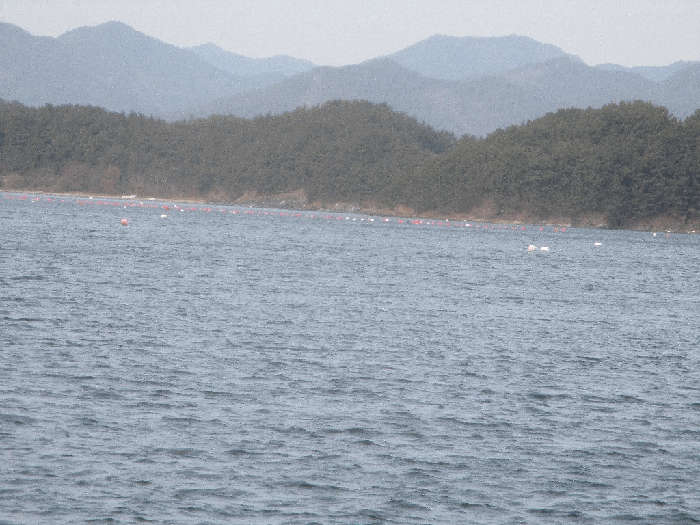 어장의위치 : 경상남도 어업권 경매 물건 사진