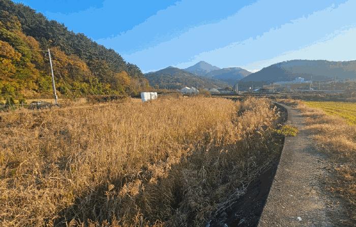 거제시 동부면 부춘리 답 경매 물건 사진