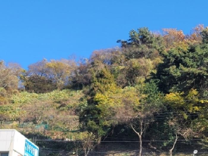 통영시 산양읍 삼덕리 전 경매 물건 사진