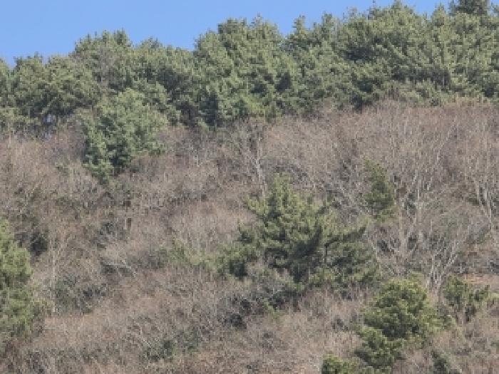 통영시 한산면 용호리 답 경매 물건 사진