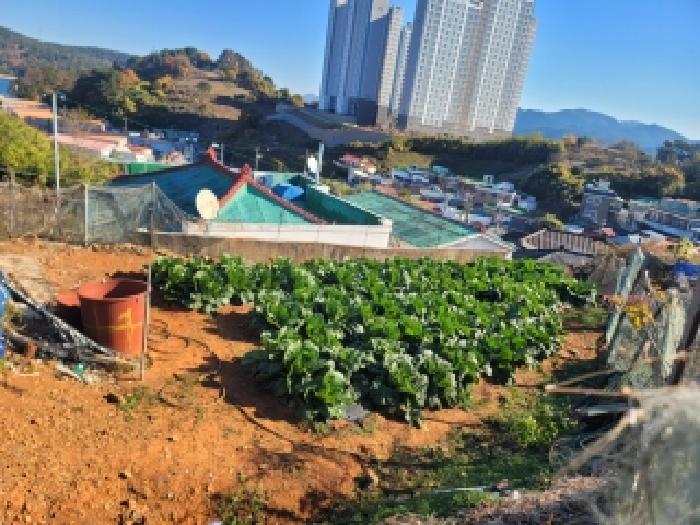 통영시 용남면 원평리 전 경매 물건 사진