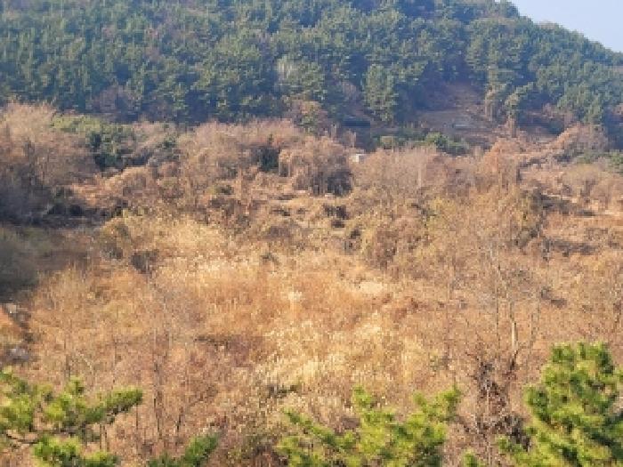 거제시 사등면 사등리 전답 경매 물건 사진
