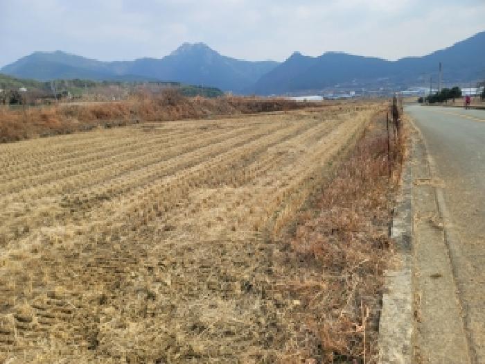 거제시 둔덕면 거림리 답 경매 물건 사진