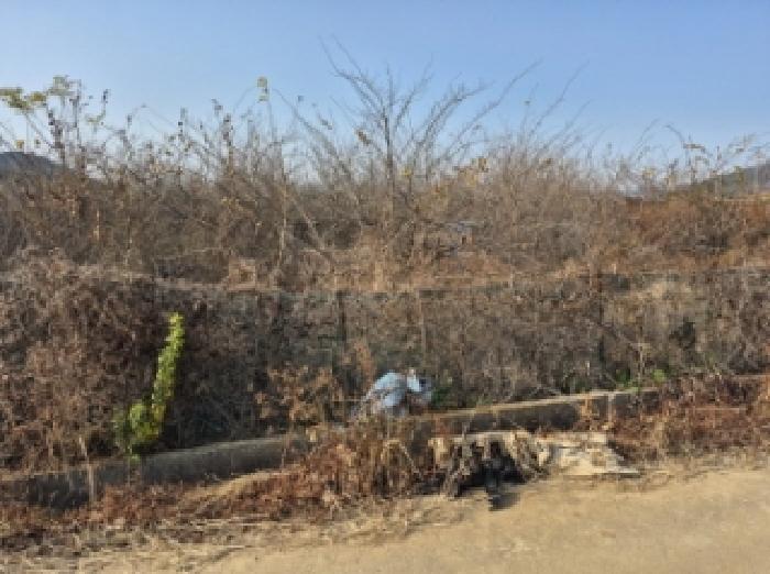 고성군 동해면 봉암리 전답 경매 물건 사진