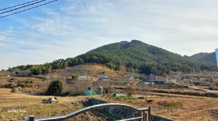 거제시 장목면 율천리 대지,임야,전답 경매 물건 사진