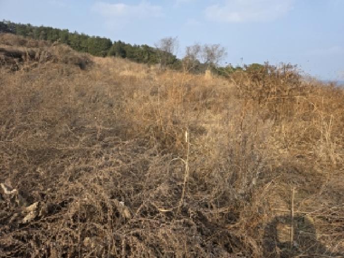 거제시 사등면 창호리 전답 경매 물건 사진