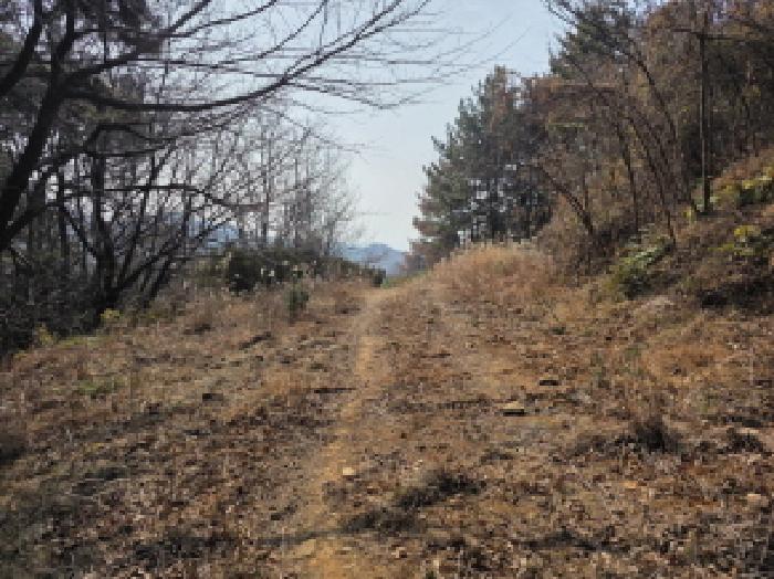 통영시 산양읍 남평리 대지,임야,전답 경매 물건 사진