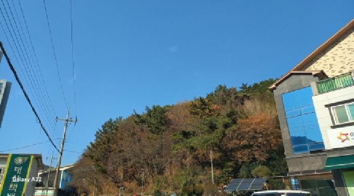 거제시 덕포동 산114 임야 경매 물건 사진