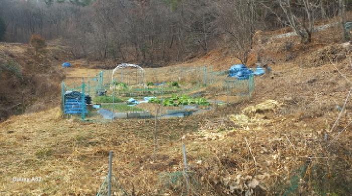 거제시 덕포동 967 답 경매 물건 사진