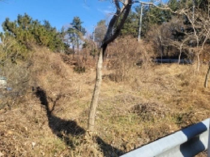 거제시 사등면 창호리 전 경매 물건 사진