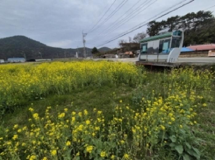 고성군 삼산면 삼봉리 답 경매 물건 사진