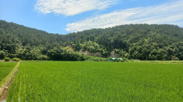 거제시 동부면 산촌리 답 경매 물건 사진