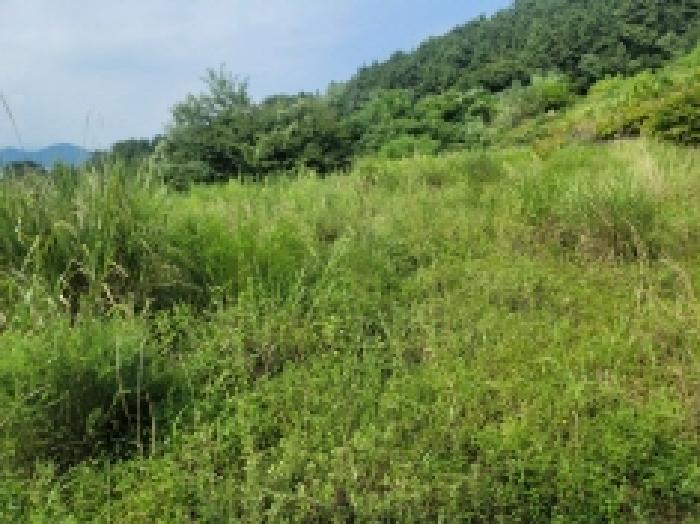거제시 사등면 창호리 전 경매 물건 사진