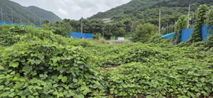 고성군 마암면 신리 대지,임야,전답 경매 물건 사진