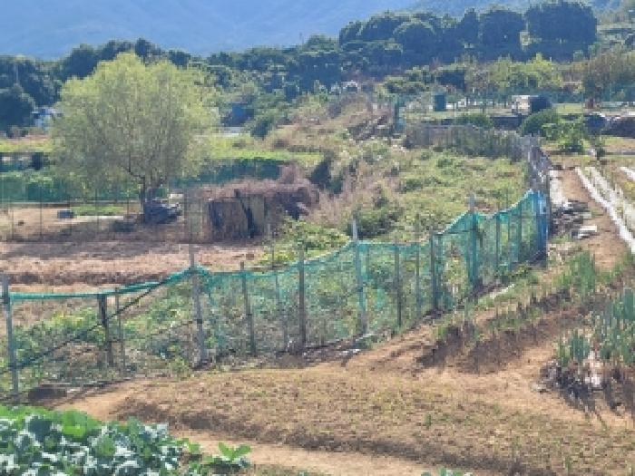 거제시 사등면 사등리 전답 경매 물건 사진