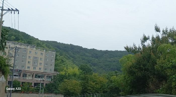 거제시 장평동 산179 임야 경매 물건 사진