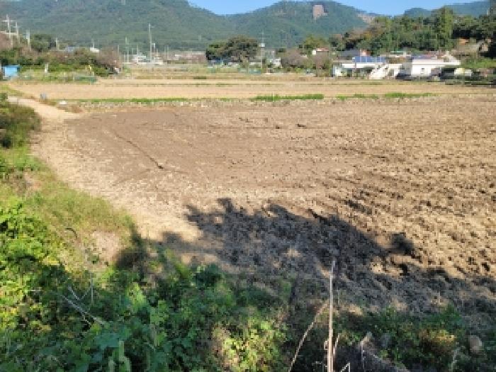거제시 둔덕면 시목리 답 경매 물건 사진