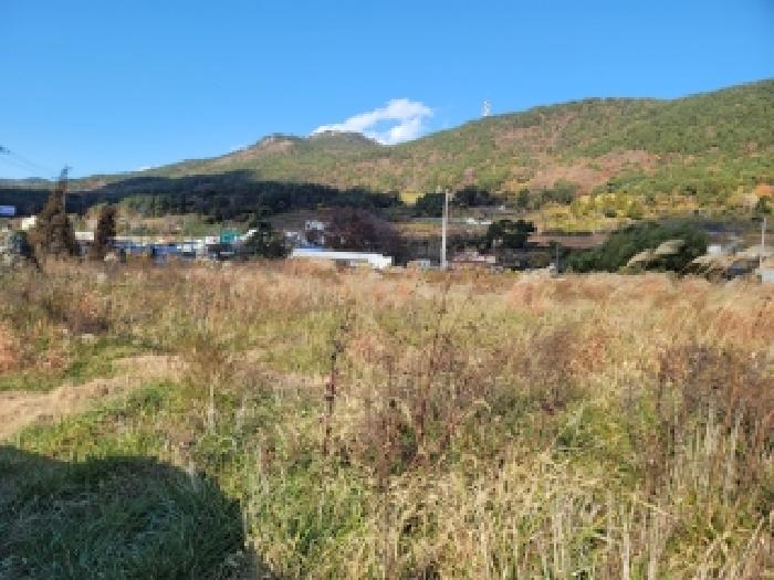 통영시 산양읍 신전리 대지,임야,전답 경매 물건 사진