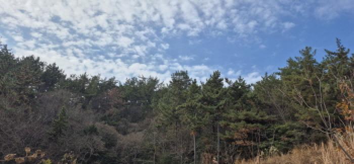 고성군 하이면 덕명리 임야 경매 물건 사진