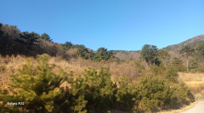 거제시 일운면 망치리 전답 경매 물건 사진