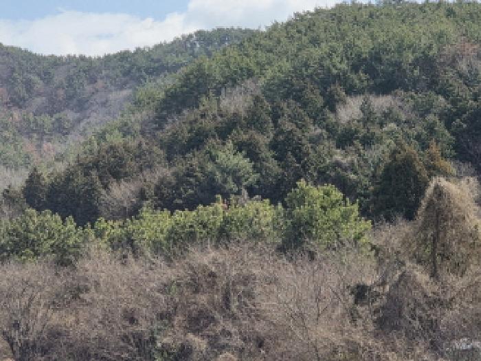 거제시 둔덕면 학산리 대지,임야,전답 경매 물건 사진