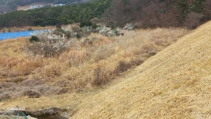 거제시 일운면 지세포리 전답 경매 물건 사진