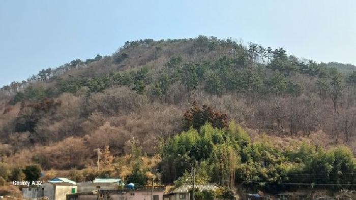 거제시 연초면 죽토리 임야 경매 물건 사진