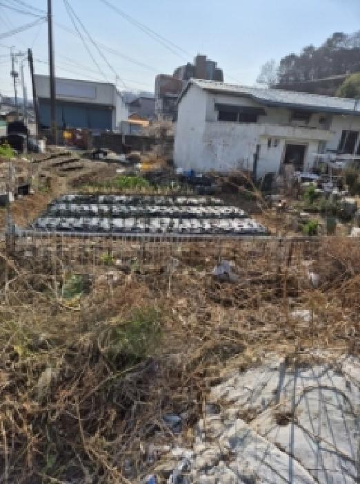 고성군 회화면 배둔리 대지 경매 물건 사진
