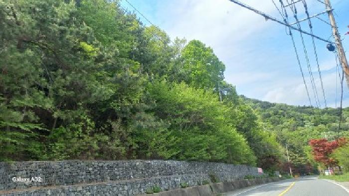 거제시 문동동 산99-13 임야 경매 물건 사진