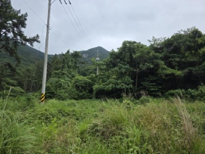 거제시 사등면 사등리 대지,임야,전답 경매 물건 사진