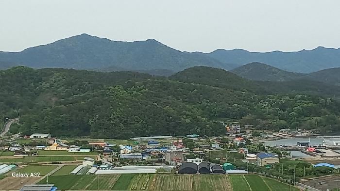 고성군 하일면 학림리 임야 경매 물건 사진