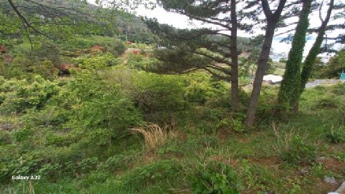 거제시 남부면 저구리 전답 경매 물건 사진