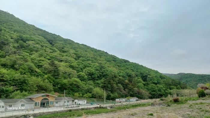 거제시 동부면 구천리 임야 경매 물건 사진