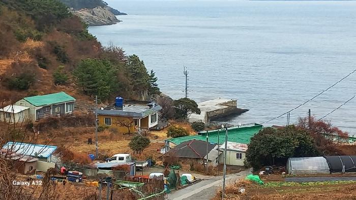 통영시 욕지면 동항리 단독주택 경매 물건 사진