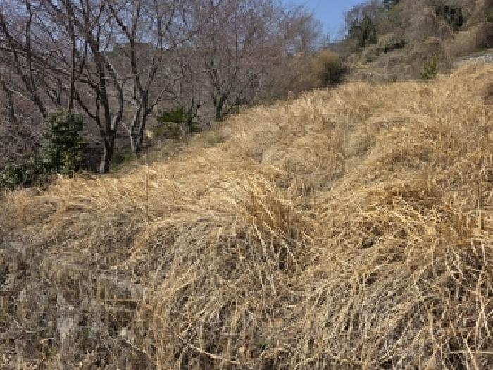 통영시 산양읍 남평리 근린생활시설 경매 물건 사진