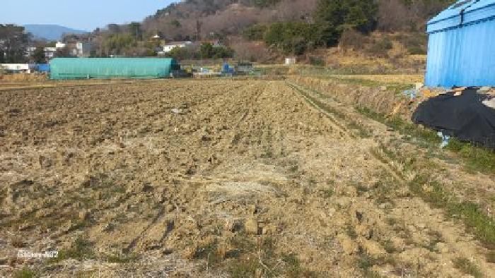 거제시 거제면 동상리 전답 경매 물건 사진