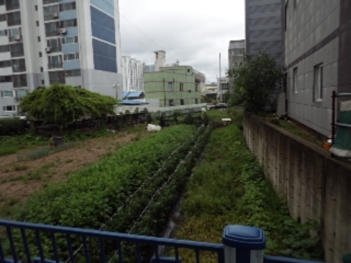 밀양시 가곡동 479 전답 경매 물건 사진