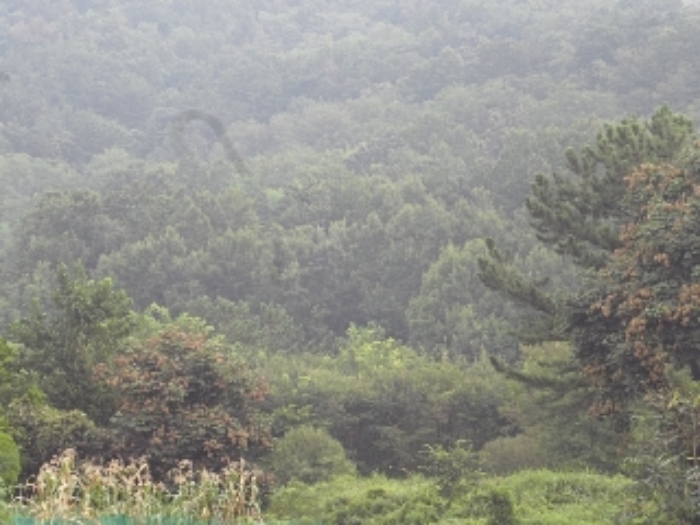 창녕군 영산면 성내리 전 경매 물건 사진