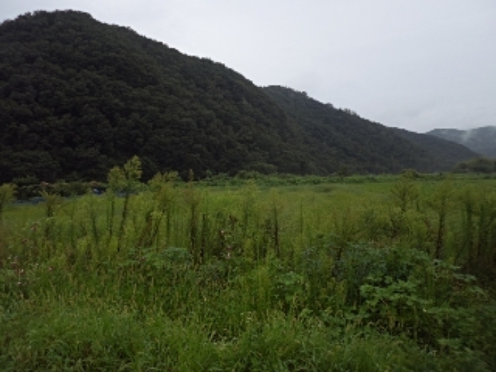 밀양시 상남면 기산리 목장용지 경매 물건 사진
