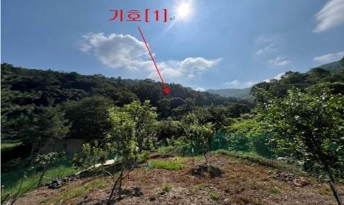 밀양시 무안면 정곡리 임야 경매 물건 사진