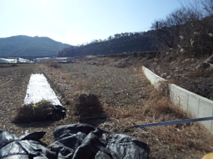 밀양시 교동 290-10 답 경매 물건 사진