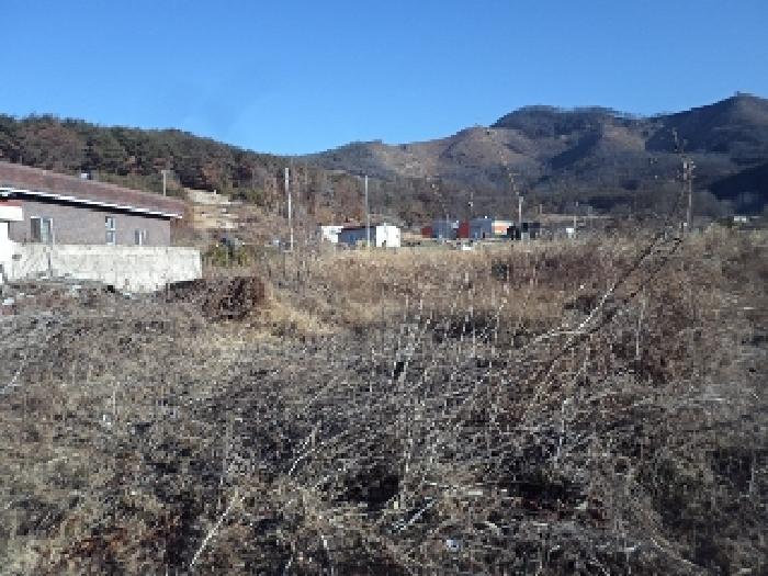밀양시 부북면 용지리 답 경매 물건 사진