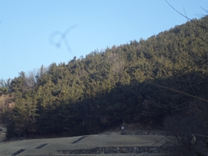 창녕군 창녕읍 송현리 임야 경매 물건 사진
