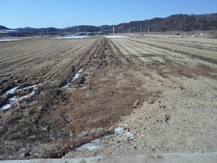 창녕군 장마면 강리 답 경매 물건 사진