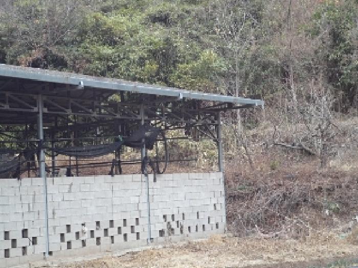 창녕군 이방면 상리 임야 경매 물건 사진