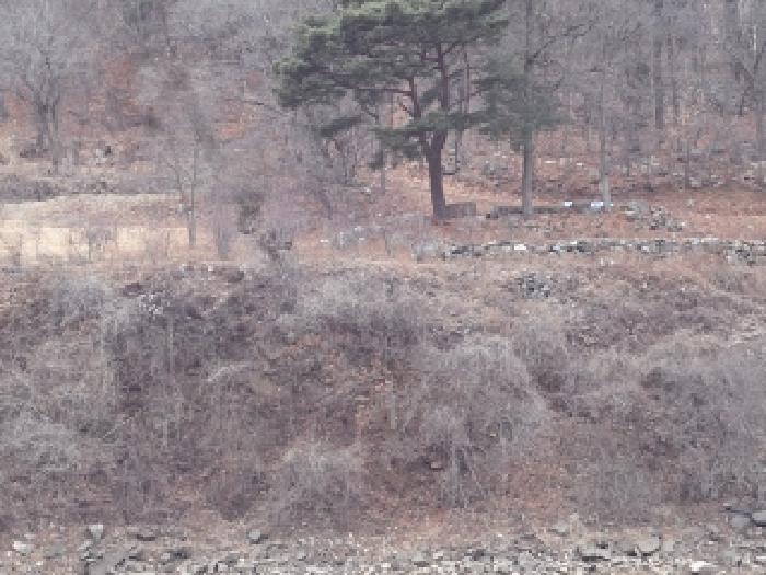 창녕군 창녕읍 옥천리 전 경매 물건 사진