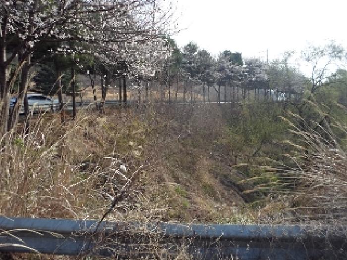 밀양시 초동면 오방리 전 경매 물건 사진