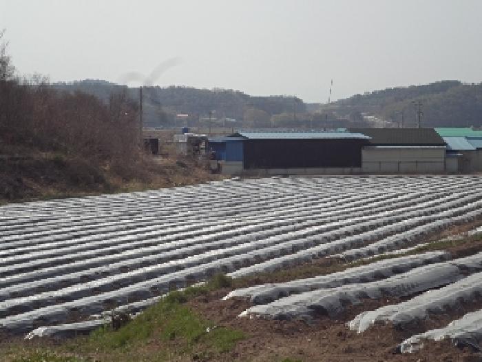 창녕군 계성면 계성리 전 경매 물건 사진