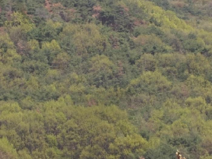 밀양시 상동면 옥산리 임야 경매 물건 사진