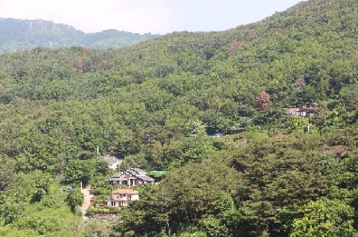 밀양시 삼랑진읍 행곡리 임야 경매 물건 사진